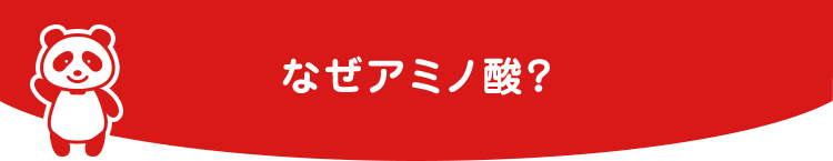 なぜアミノ酸？