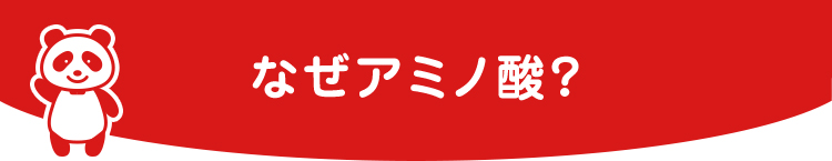 なぜアミノ酸？