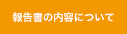 報告書の内容について